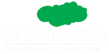 Savatree Logo